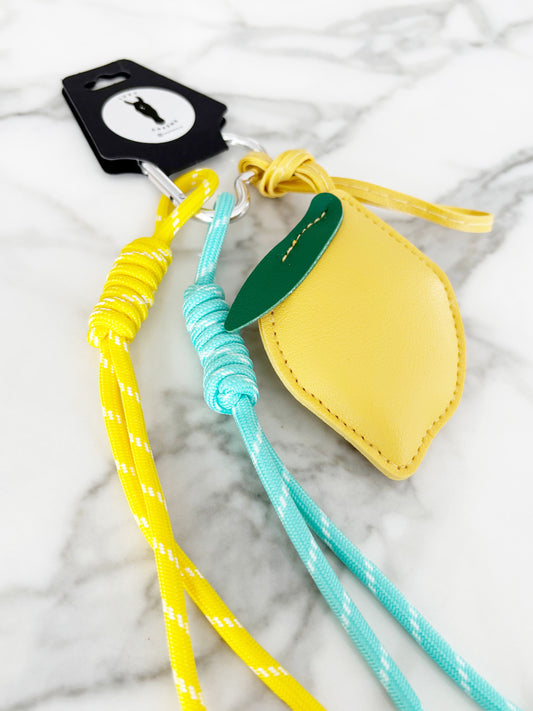 🍋 The Zesty Lemon Drop Charm