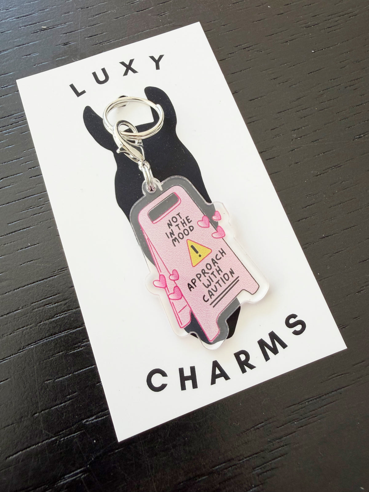 Approach with Caution Charm ⚠️💕