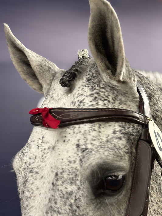 Silver Bling Dome Forelock Crown