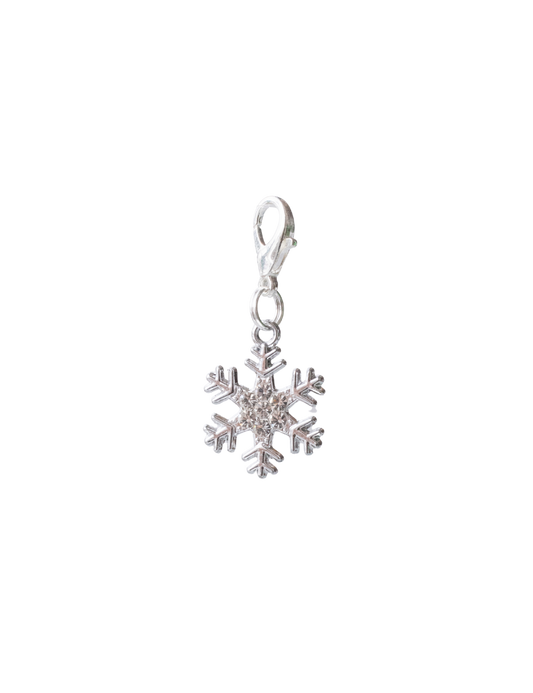 Silver Snowflake (Multiple Styles)