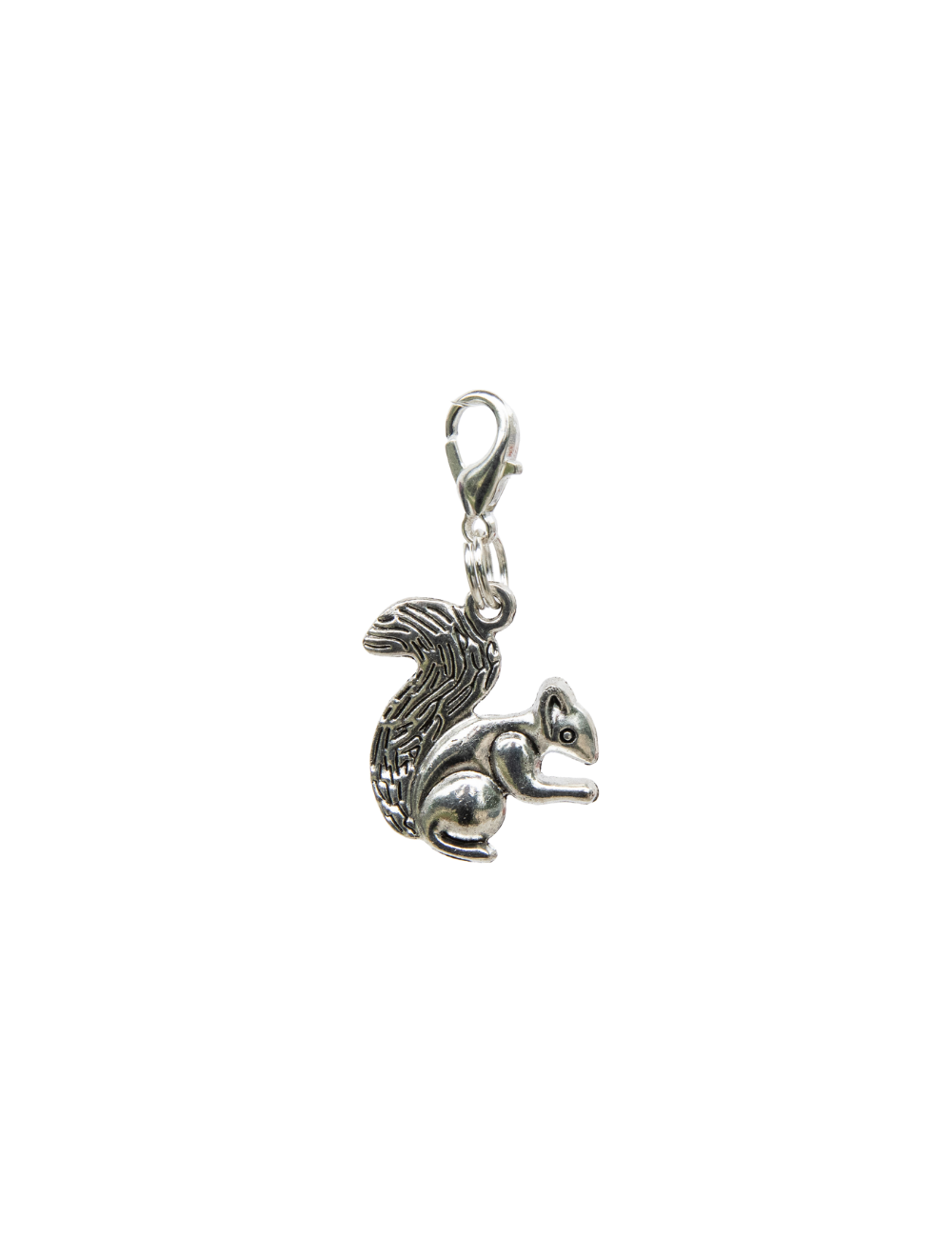 Silver Squirrel