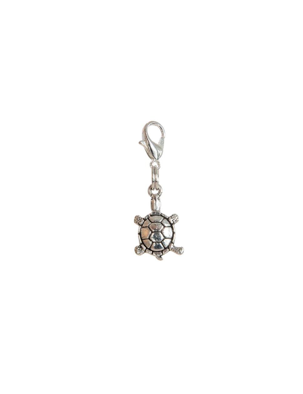 Silver Turtle