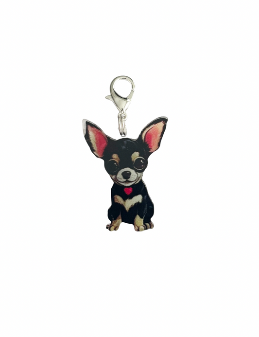 Chihuahua Charm