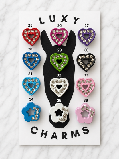 Custom Bag Tag