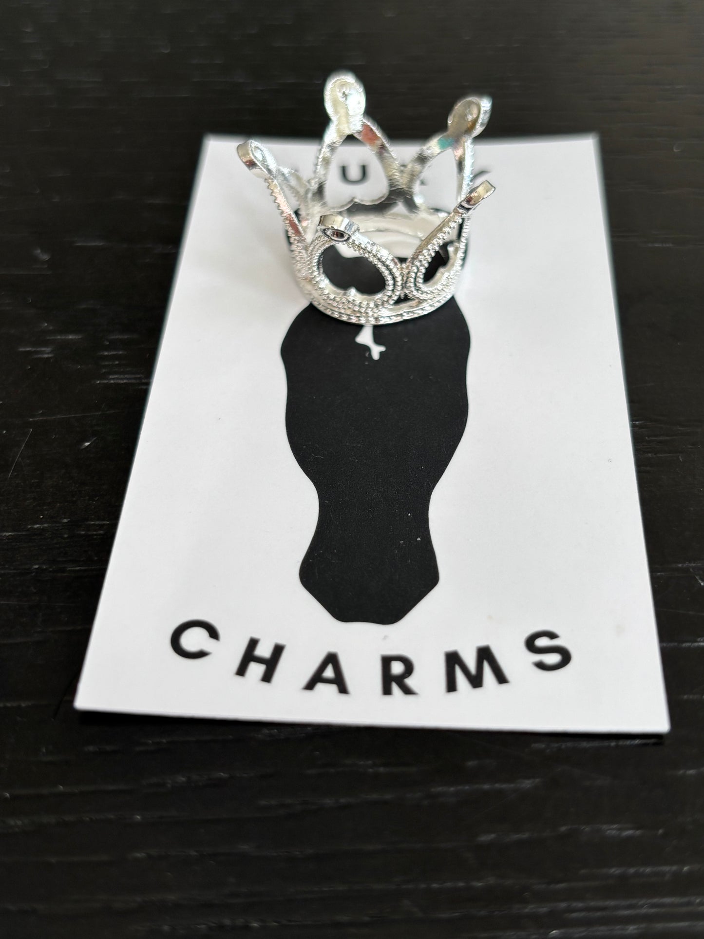 Silver Pointy Crown