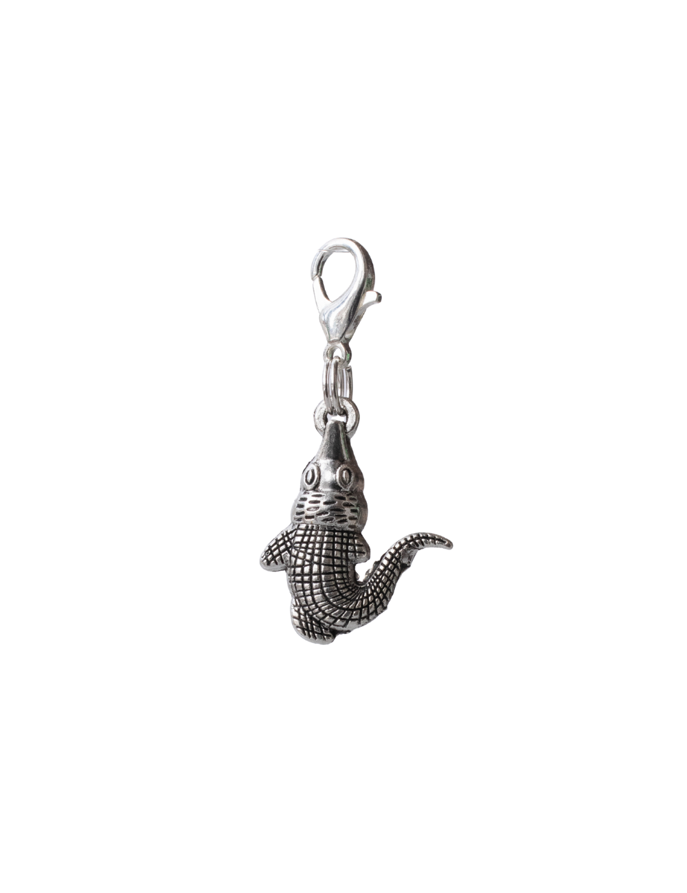 Crocodile / Alligator