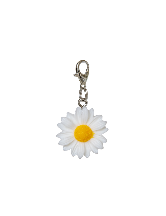 Daisy