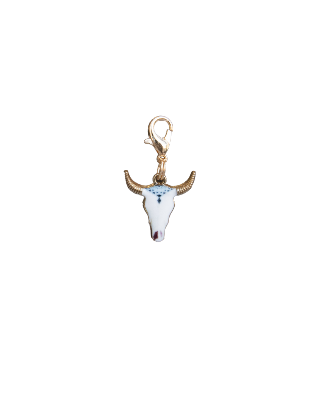 Longhorn Skull