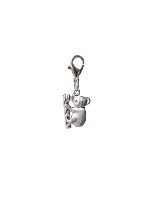Silver Koala on branch