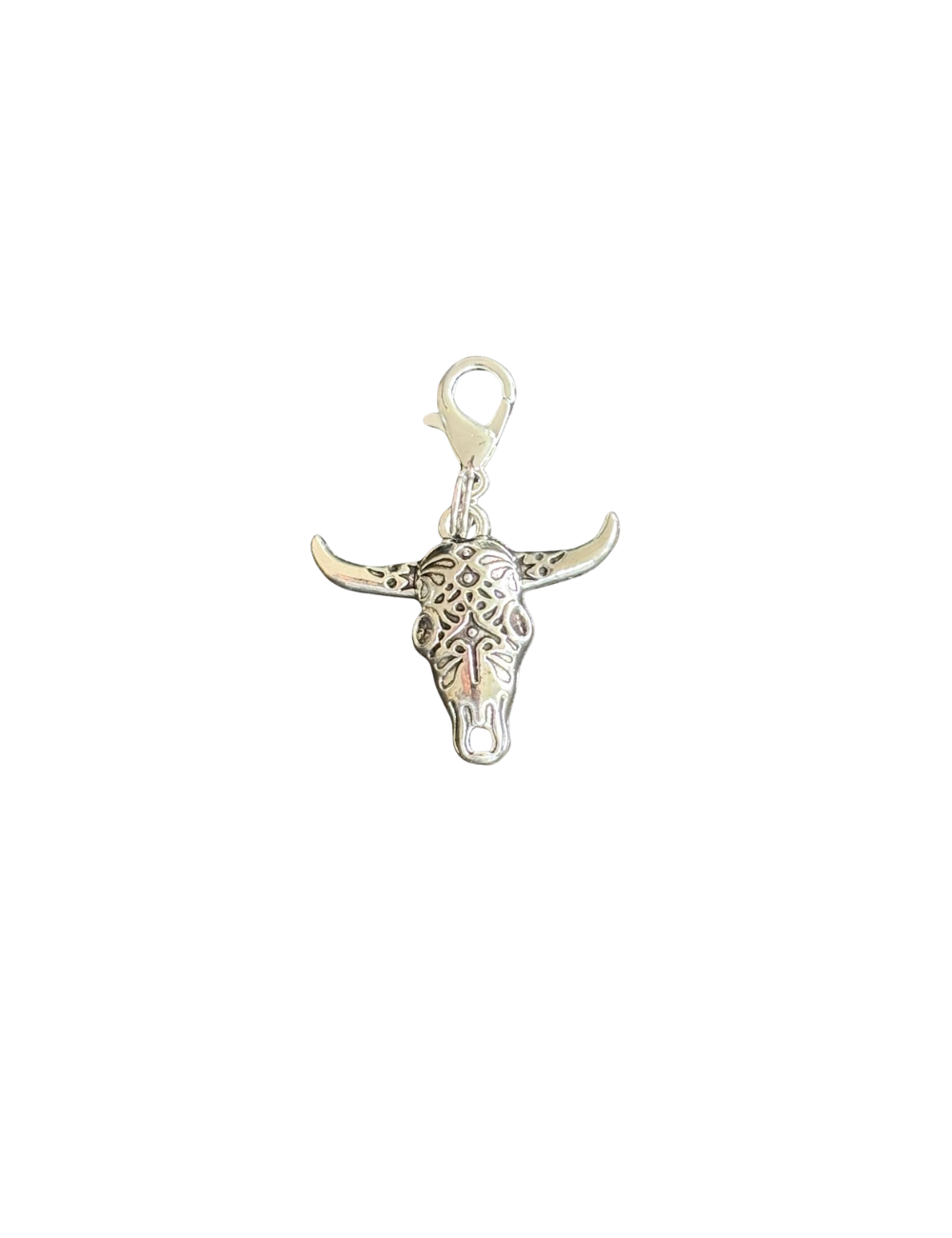 Longhorn Skull