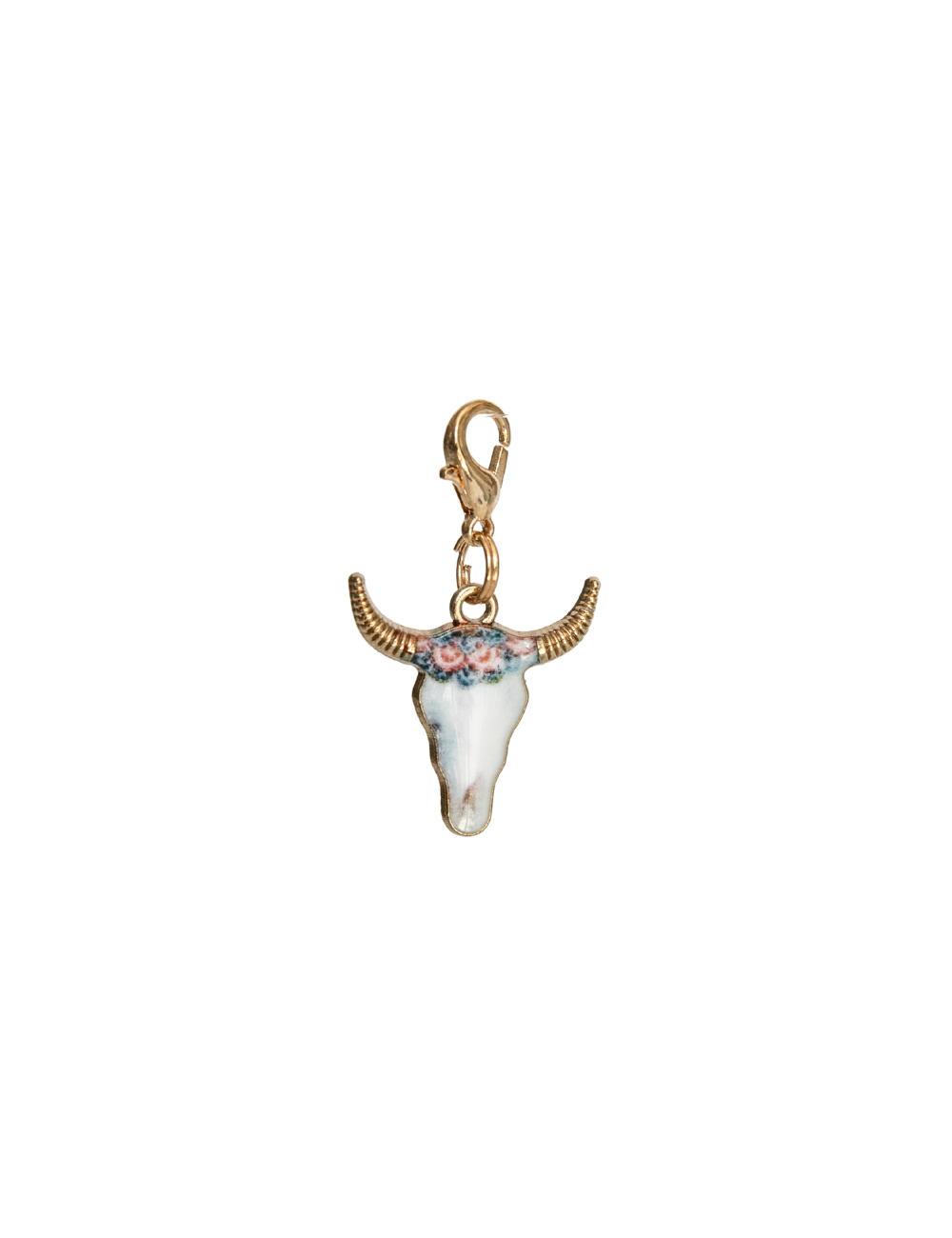 Longhorn Skull