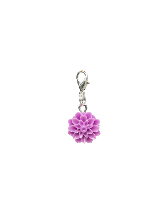 Dahlia